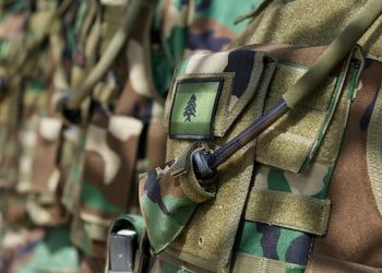 «حزب الله ولبنان خطّان لا يلتقيان»  العدو ليس البندقية إنما القلم!