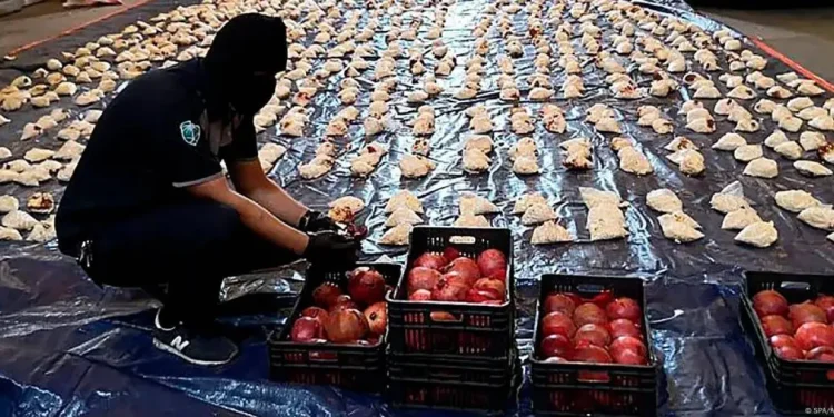 «صناعة الحيلة»… أغرب طرق تهريب المخدرات من لبنان