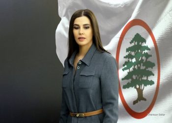 الأرقام الحقيقية لمشاريع بشري الإنمائية