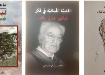 صخرة فيليب سالم ونظرية الحياد الفاعل